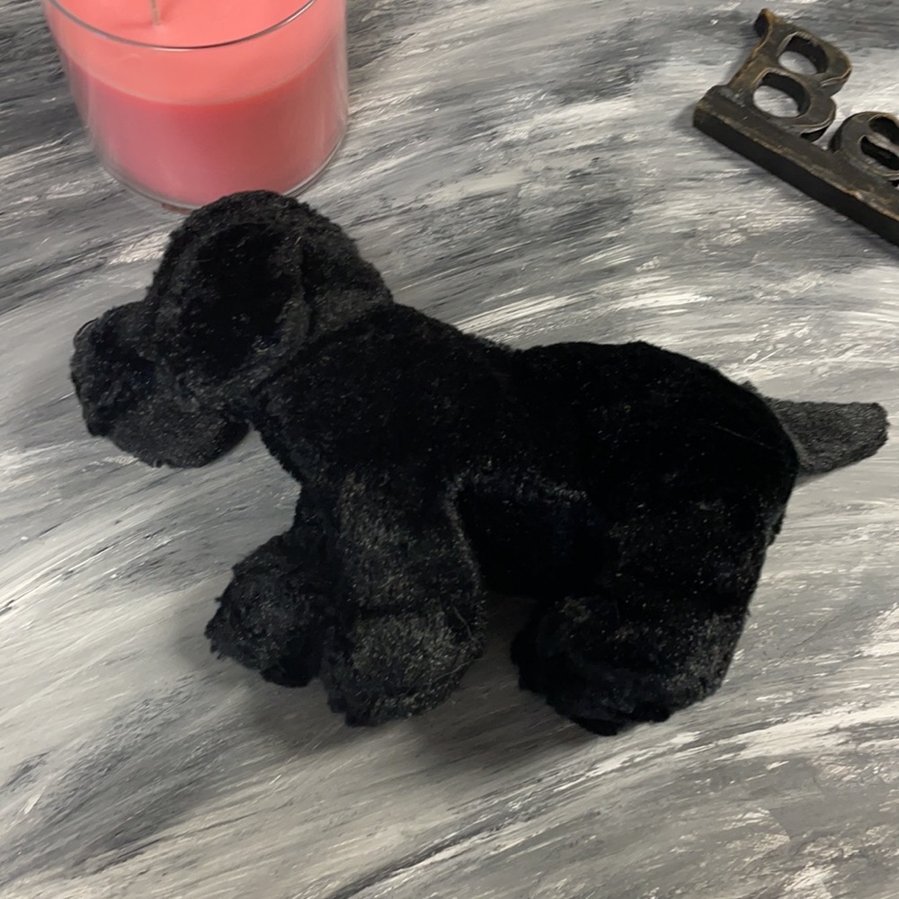 Webkinz Black Lab - Picture 4 of 6
